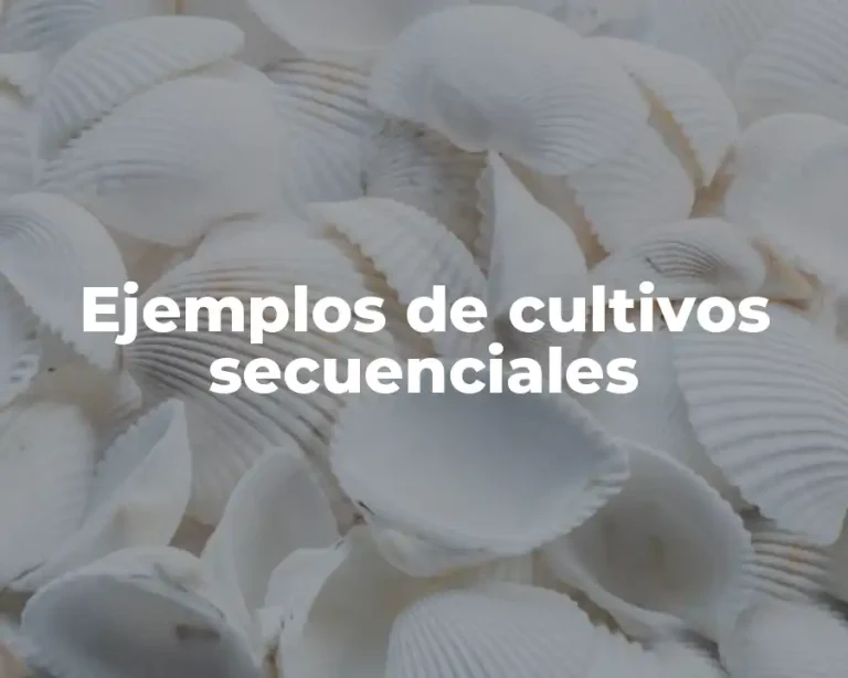 Ejemplos de cultivos secuenciales