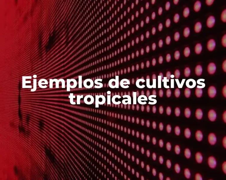 Ejemplos de cultivos tropicales