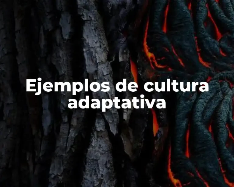 Ejemplos de cultura adaptativa