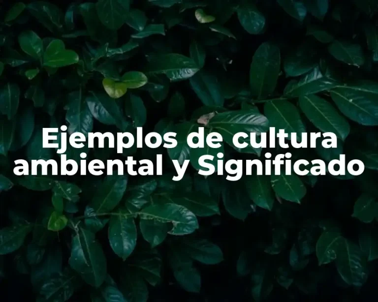 Ejemplos de cultura ambiental y Significado