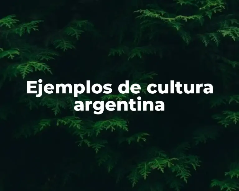 Ejemplos de cultura argentina
