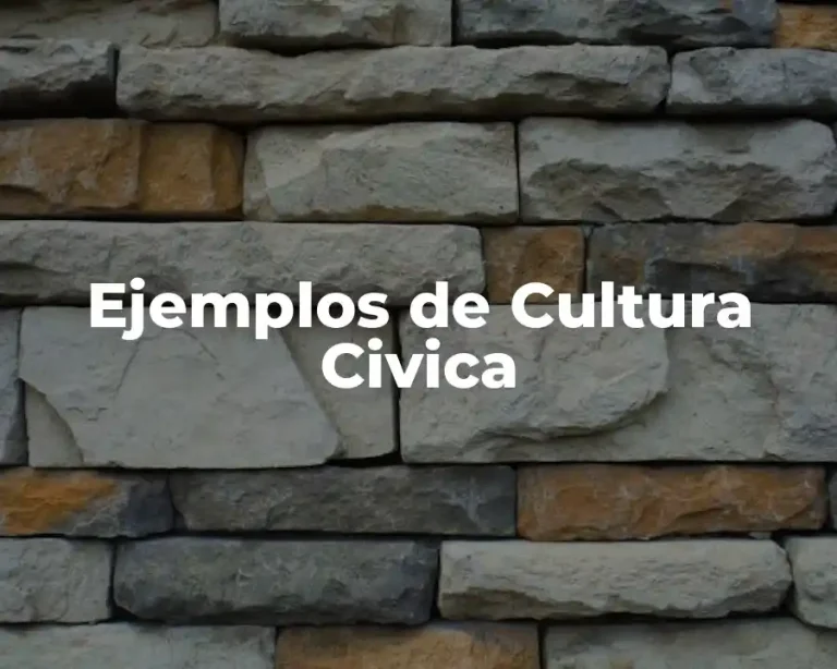 Ejemplos de Cultura Civica