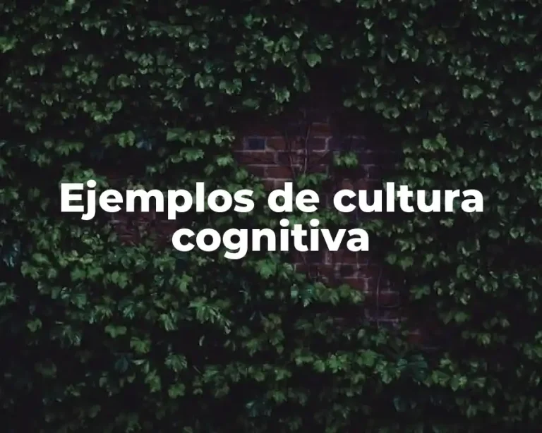 Ejemplos de cultura cognitiva