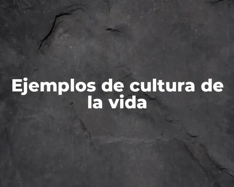 Ejemplos de cultura de la vida