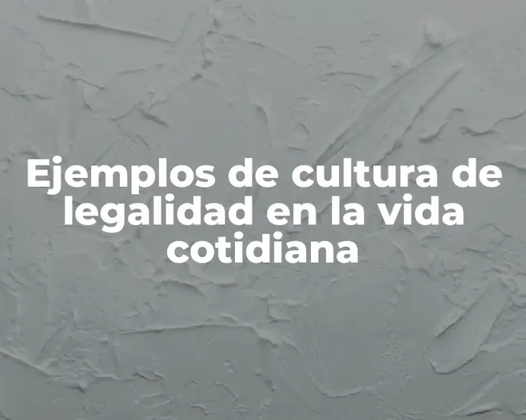Ejemplos de cultura de legalidad en la vida cotidiana