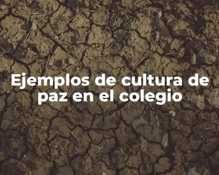 Ejemplos de cultura de paz en el colegio