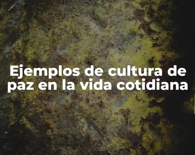 Ejemplos de cultura de paz en la vida cotidiana