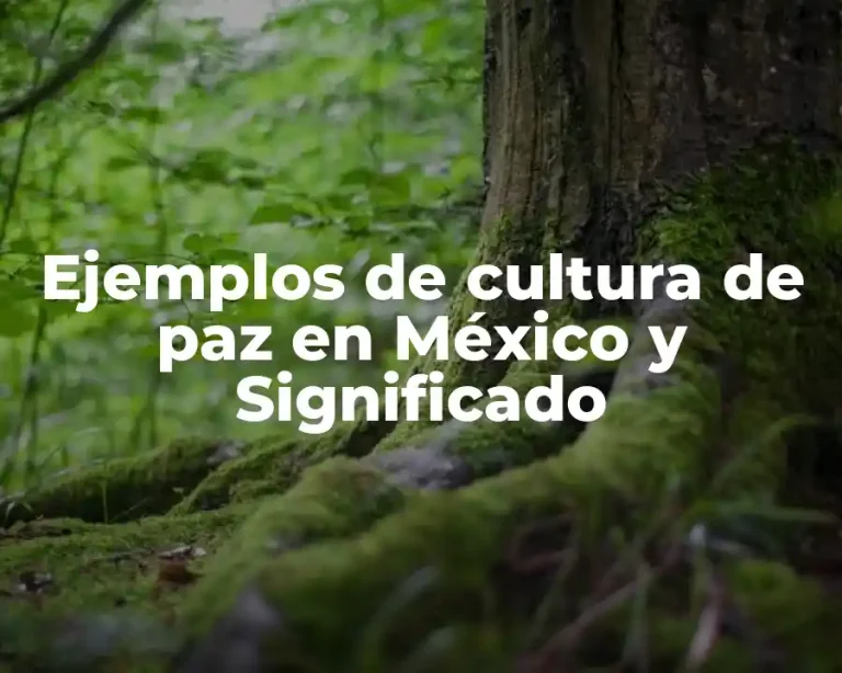 Ejemplos de cultura de paz en México y Significado