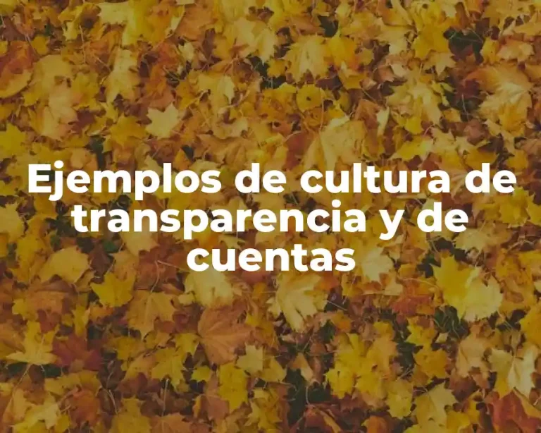 Ejemplos de cultura de transparencia y de cuentas