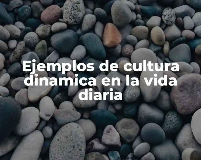 Ejemplos de cultura dinamica en la vida diaria