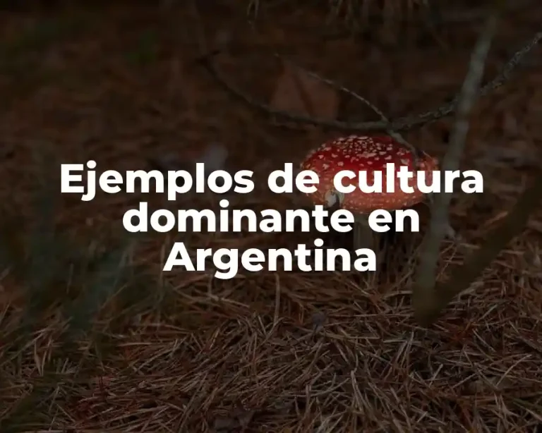 Ejemplos de cultura dominante en Argentina