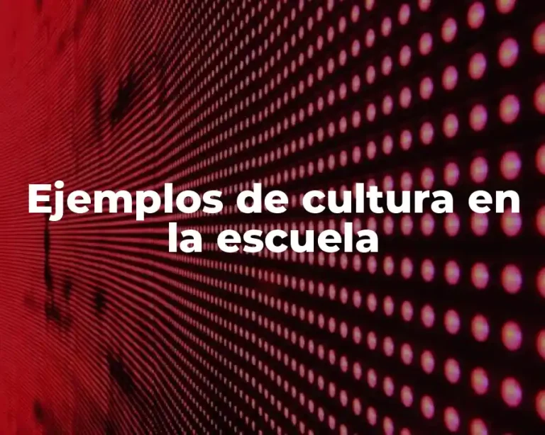 Ejemplos de cultura en la escuela