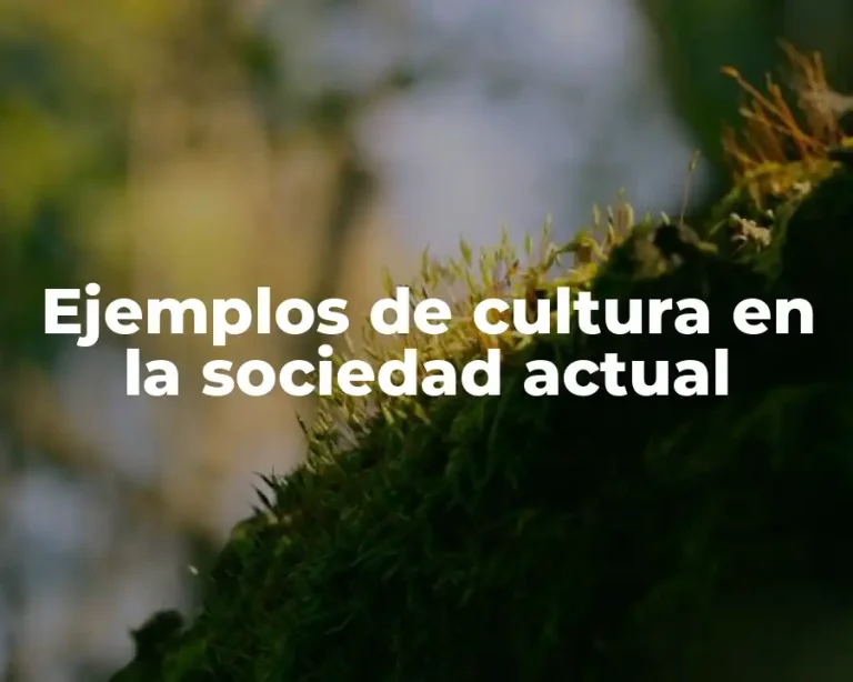 Ejemplos de cultura en la sociedad actual