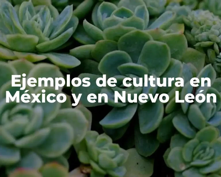 Ejemplos de cultura en México y en Nuevo León