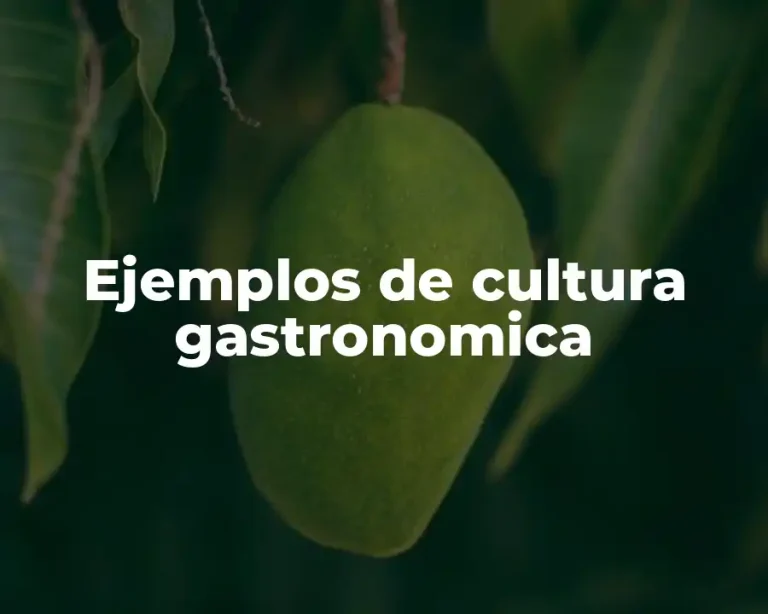Ejemplos de cultura gastronomica