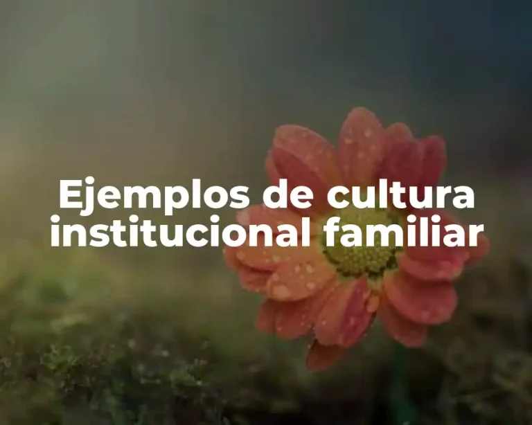 Ejemplos de cultura institucional familiar