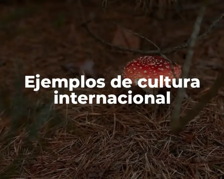 Ejemplos de cultura internacional