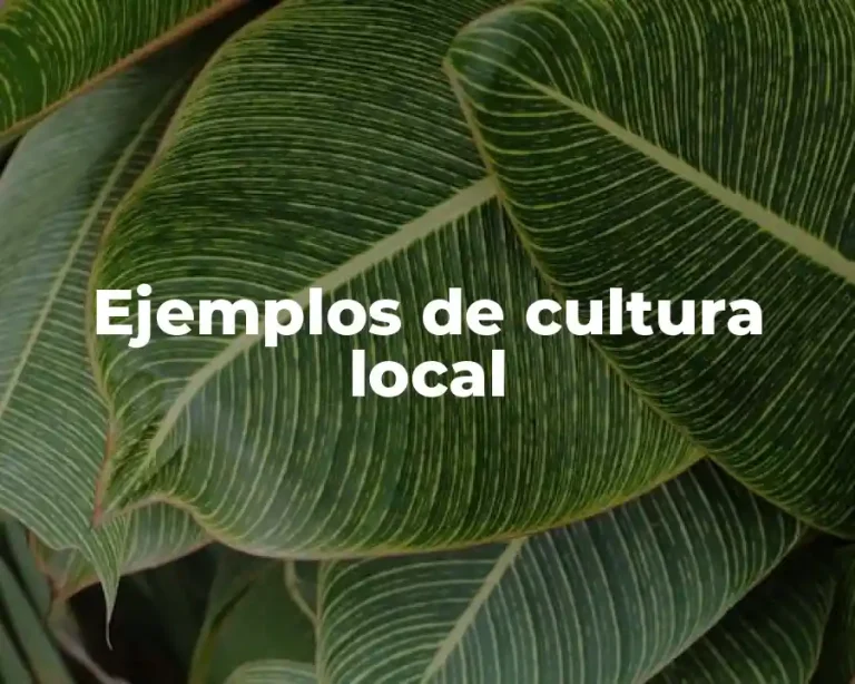 Ejemplos de cultura local
