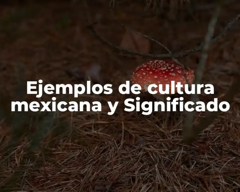 Ejemplos de cultura mexicana y Significado