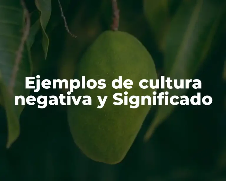 Ejemplos de cultura negativa y Significado