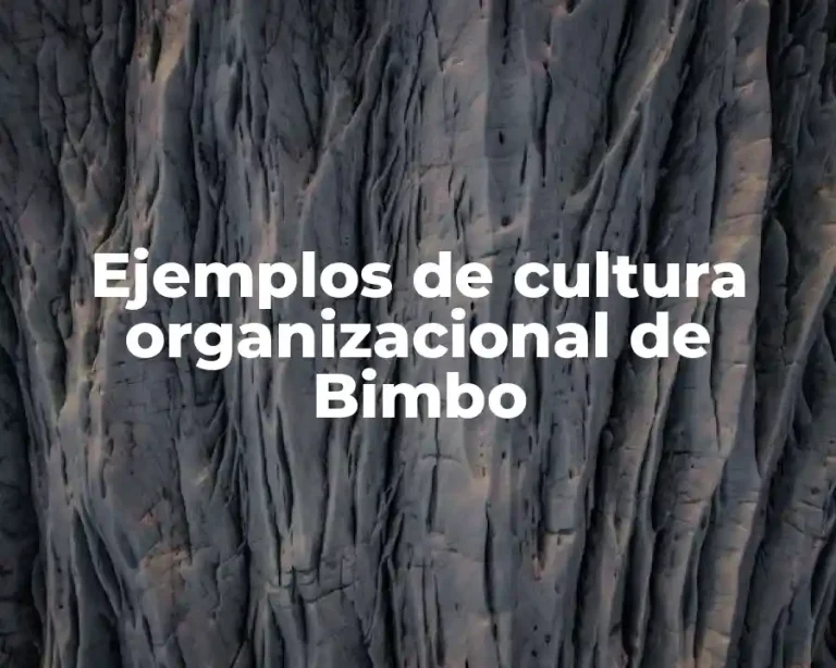 Ejemplos de cultura organizacional de Bimbo