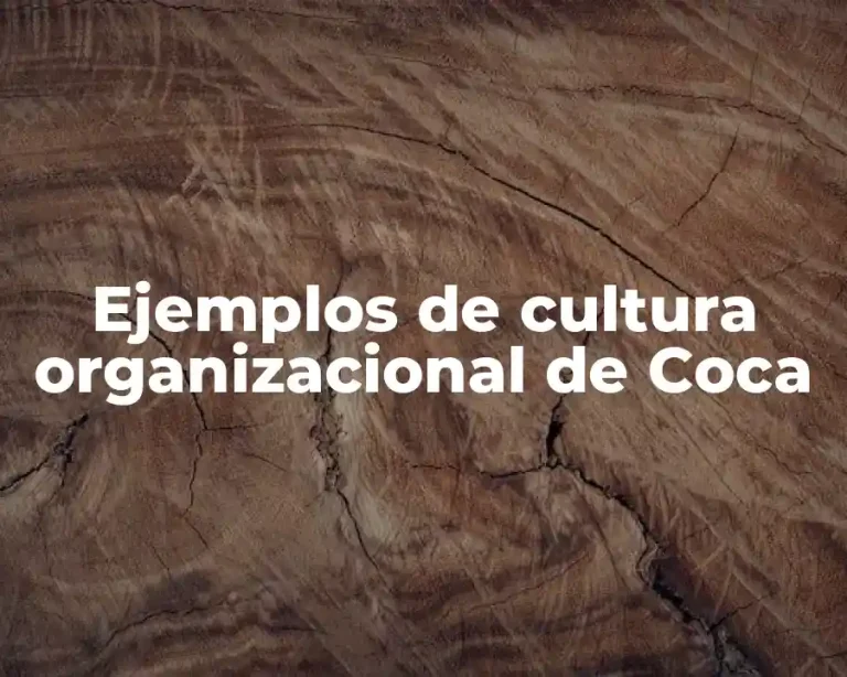 Ejemplos de cultura organizacional de Coca