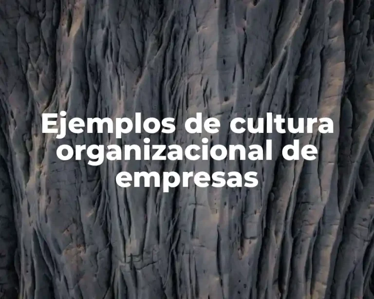 Ejemplos de cultura organizacional de empresas