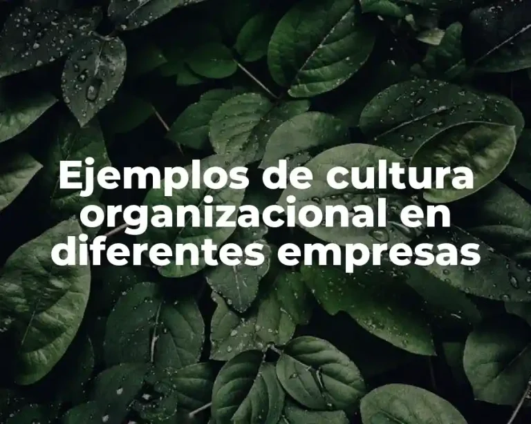 Ejemplos de cultura organizacional en diferentes empresas