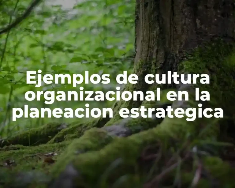 Ejemplos de cultura organizacional en la planeacion estrategica