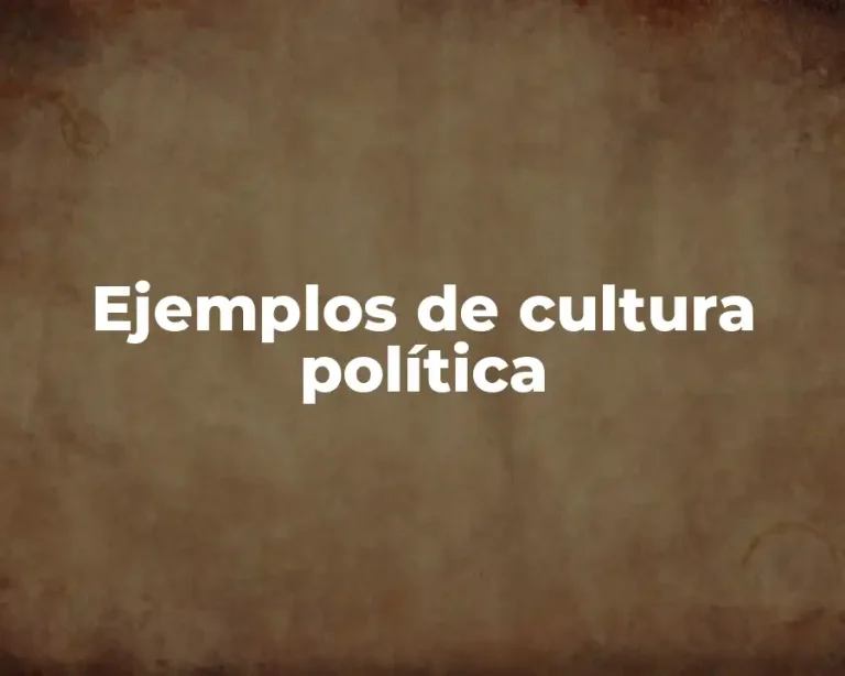 Ejemplos de cultura política