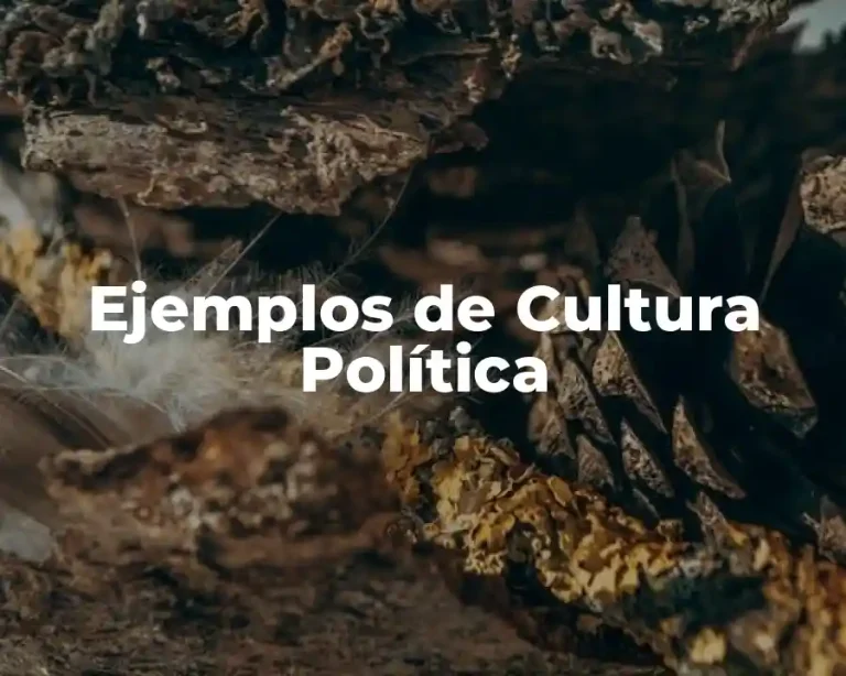 Ejemplos de Cultura Política