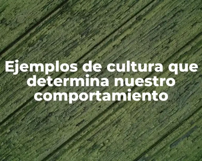 Ejemplos de cultura que determina nuestro comportamiento