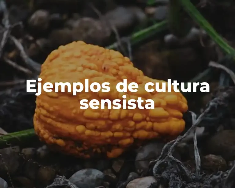 Ejemplos de cultura sensista