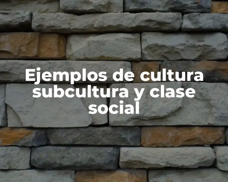 Ejemplos de cultura subcultura y clase social