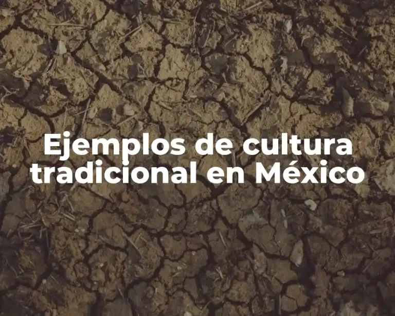 Ejemplos de cultura tradicional en México