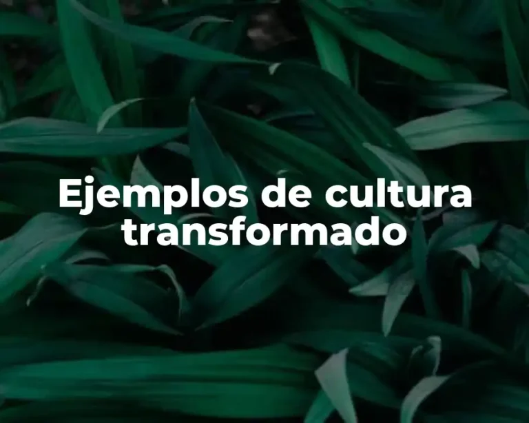 Ejemplos de cultura transformado