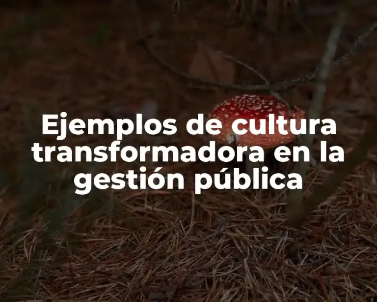 Ejemplos de cultura transformadora en la gestión pública