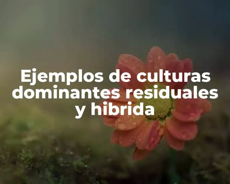 Ejemplos de culturas dominantes residuales y hibrida