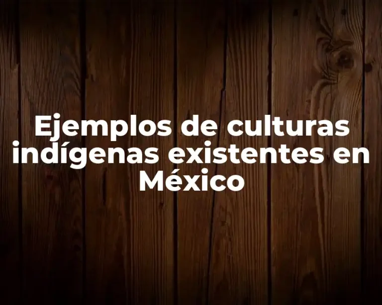 Ejemplos de culturas indígenas existentes en México