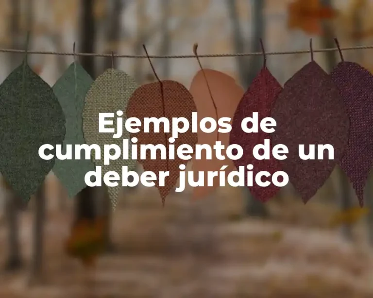 Ejemplos de cumplimiento de un deber jurídico