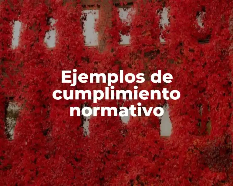 Ejemplos de cumplimiento normativo