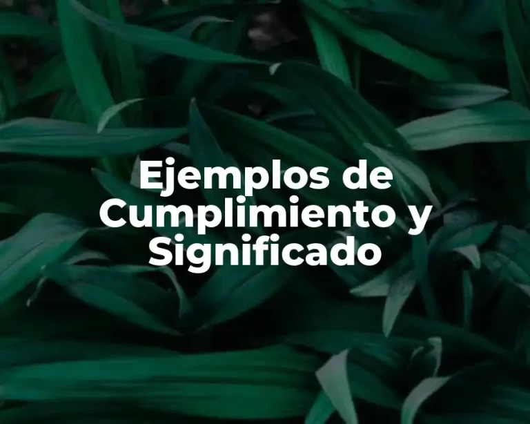 Ejemplos de Cumplimiento y Significado
