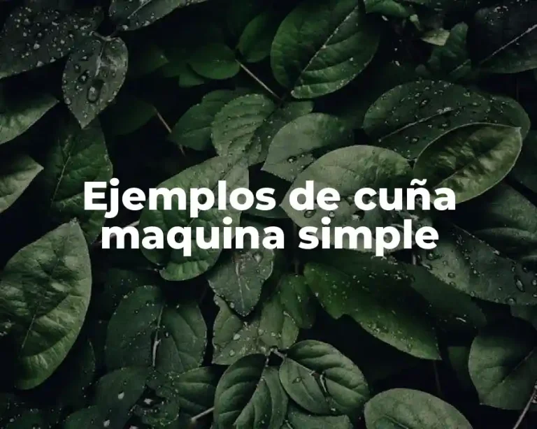 Ejemplos de cuña maquina simple