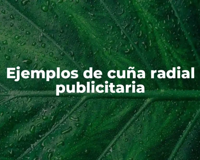Ejemplos de cuña radial publicitaria