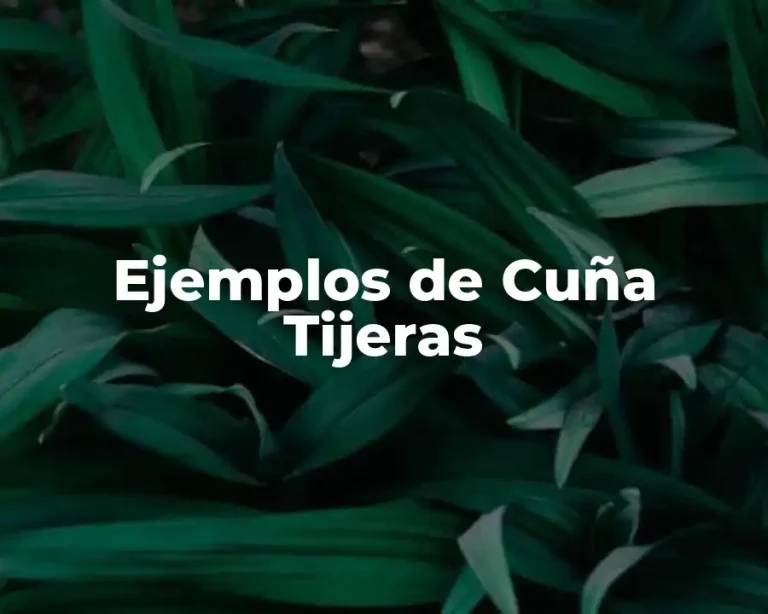 Ejemplos de Cuña Tijeras