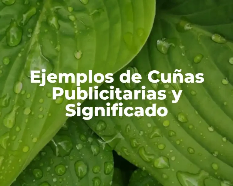Ejemplos de Cuñas Publicitarias y Significado