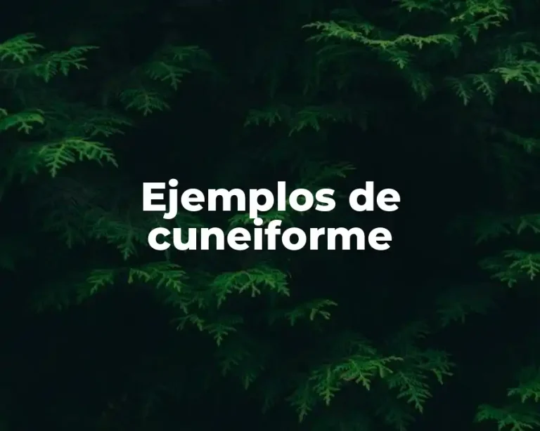 Ejemplos de cuneiforme