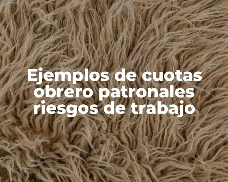 Ejemplos de cuotas obrero patronales riesgos de trabajo