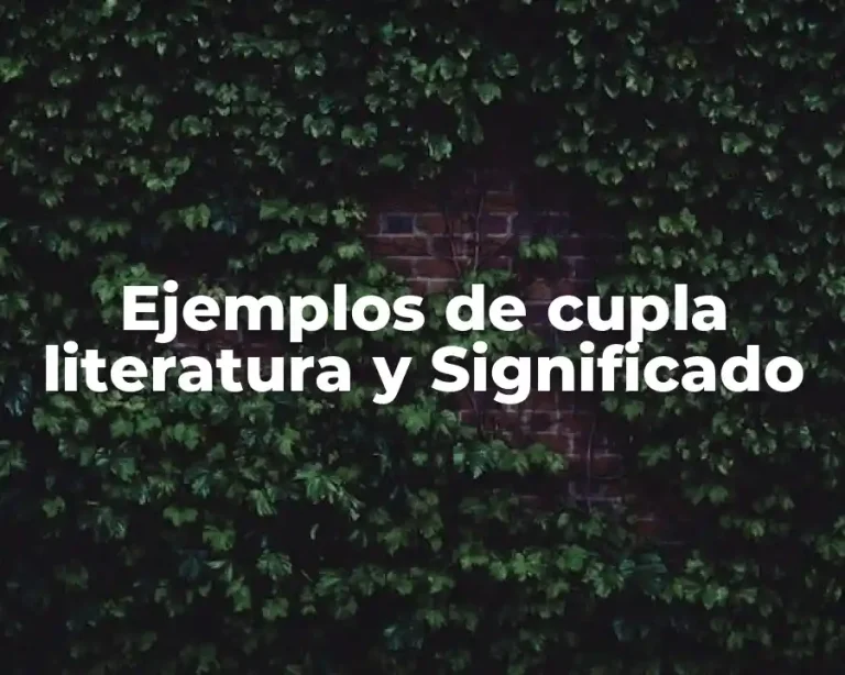 Ejemplos de cupla literatura y Significado