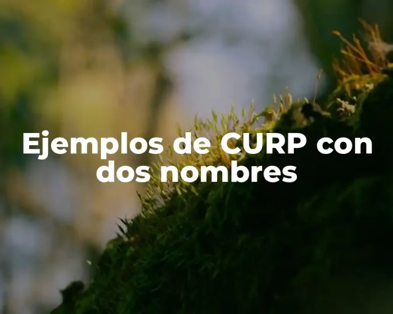 Ejemplos de CURP con dos nombres